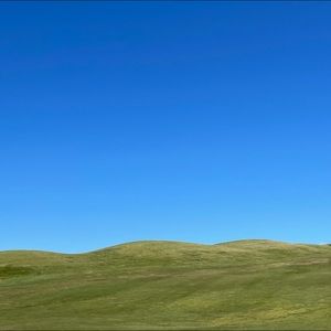 Meet your Posher, Ava